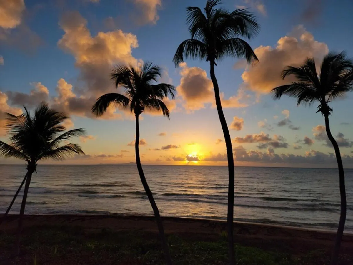 Bv103 - Amazing Oceanfront Condo Steps From Beach Humacao Apartament